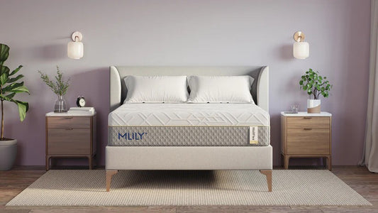 MLILY - WellFlex 2.0 12" Mattress